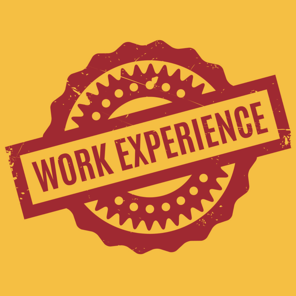 Work Experience Opportunities